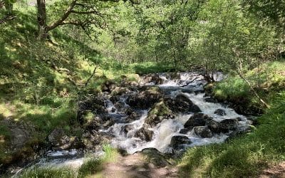 Artful Migration Walk & Workshop
