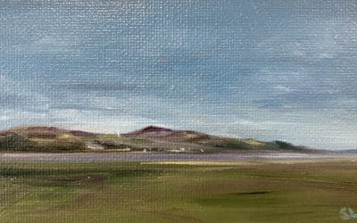 SLA 141 – Wigtown Bay