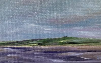 SLA 142 – Luce Bay