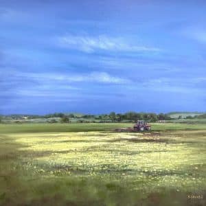 Original Framed Buttercups at Baldoon