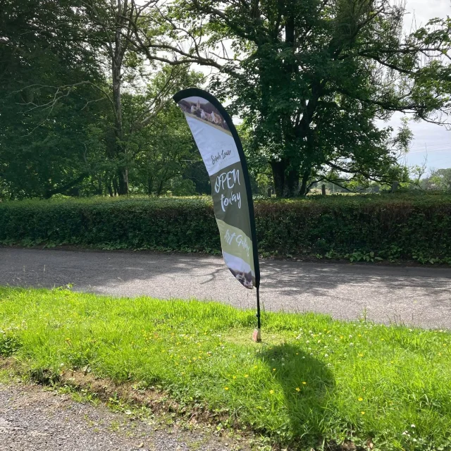 Open today (Sunday 29th June) & tomorrow (Monday 30th June) till 3pm to visitors at my Art Studio & Gallery at DG8 0BY 😎

#sunshine #openstudio #newtonstewart #wigtown #kirkcowan
